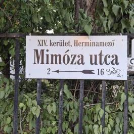 Mimóza Étterem Budapest - Külső kép