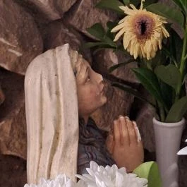 Mindenszentek templom Fertőszéplak - Egyéb