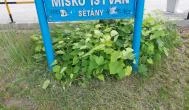 Miskó István sétány Tiszakécske - Egyéb