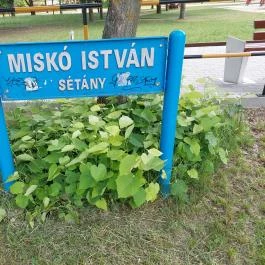 Miskó István sétány Tiszakécske - Egyéb