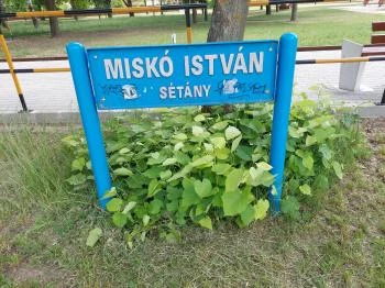 Miskó István sétány Tiszakécske