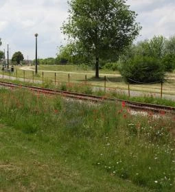 Miskó István sétány