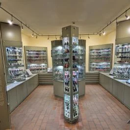 Míves Tojás Gyűjtemény Múzeumi Intézmény, Zengővárkony - Belső