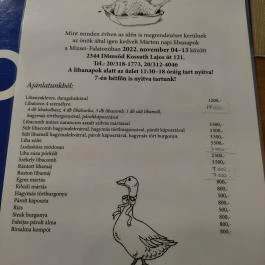 Mizsei Vendéglő, Dömsöd - Étlap/itallap