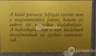 MNM Palóc Múzeuma Balassagyarmat - Egyéb
