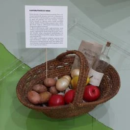 MNM Palóc Múzeuma Balassagyarmat - Egyéb