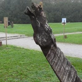 Mohácsi Nemzeti Emlékhely Mohács - Sátorhely - Egyéb