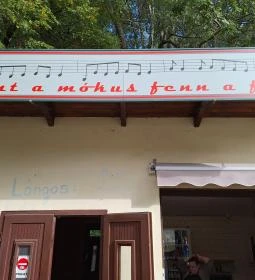 Mint a Mókus Fenn a Fán