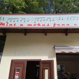 Mint a Mókus Fenn a Fán Budapest - Egyéb