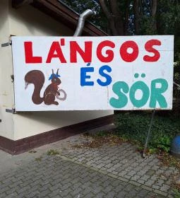 Mint a Mókus Fenn a Fán