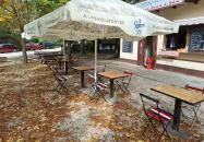 Mint a Mókus Fenn a Fán Budapest