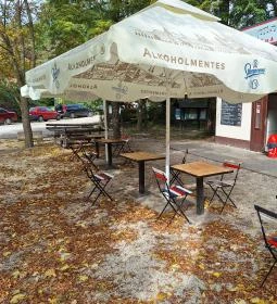 Mint a Mókus Fenn a Fán