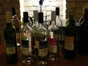 Molnár Családi Borászat Cegléd