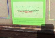 Molyhos tölgy Bátaszék