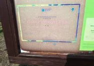 Molyhos tölgy Bátaszék