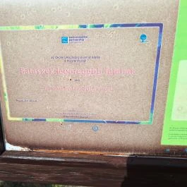 Molyhos tölgy Bátaszék - Egyéb