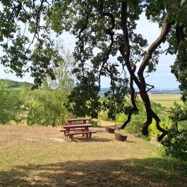 Molyhos tölgy Bátaszék - Külső kép