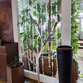 Montenegrói Gurman Max City Törökbálint - Egyéb