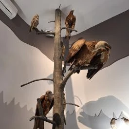 Móra Ferenc Múzeum, Szeged - Egyéb