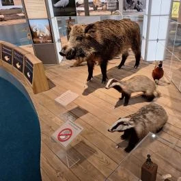 Móra Ferenc Múzeum, Szeged - Egyéb