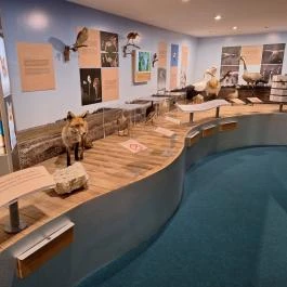 Móra Ferenc Múzeum, Szeged - Belső