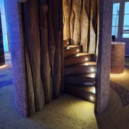 Móra Ferenc Múzeum, Szeged - Egyéb