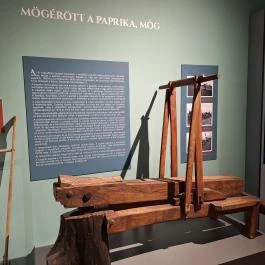 Móra Ferenc Múzeum, Szeged - Egyéb