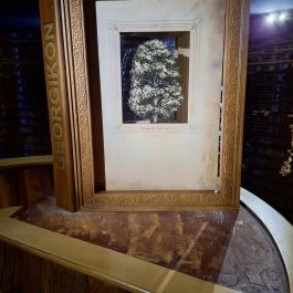 Móra Ferenc Múzeum, Szeged - Egyéb