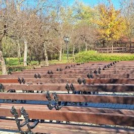 Móricz Park Tiszacsécse - Külső kép