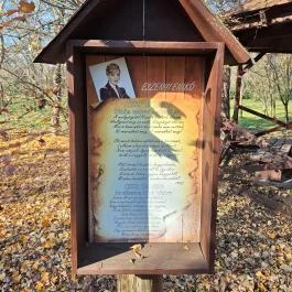 Móricz Park Tiszacsécse - Egyéb