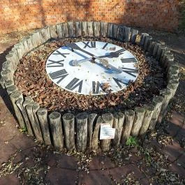 Móricz Park Tiszacsécse - Egyéb