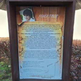 Móricz Park Tiszacsécse - Egyéb