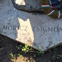 Móricz Zsigmond Emlékház Tiszacsécse - Egyéb