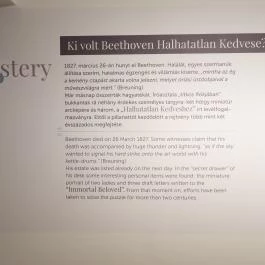 Beethoven Emlékmúzeuma Martonvásár - Egyéb