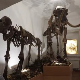 MTM Bakonyi Természettudományi Múzeuma Zirc - Egyéb