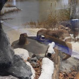 MTM Bakonyi Természettudományi Múzeuma Zirc - Egyéb