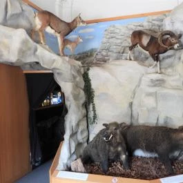 MTM Bakonyi Természettudományi Múzeuma Zirc - Egyéb