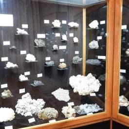 MTM Bakonyi Természettudományi Múzeuma Zirc - Egyéb