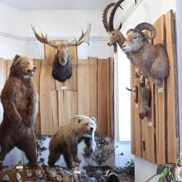 MTM Bakonyi Természettudományi Múzeuma Zirc - Egyéb