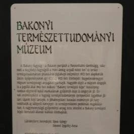 MTM Bakonyi Természettudományi Múzeuma Zirc - Egyéb