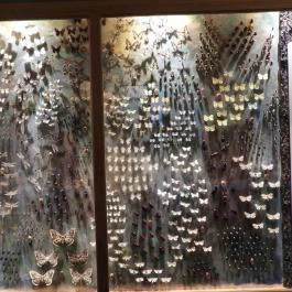 MTM Bakonyi Természettudományi Múzeuma Zirc - Egyéb