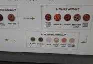 Mucho Burrito - Allee Budapest