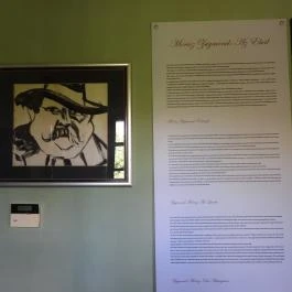 Mudrány Kúria Szabolcs - Egyéb