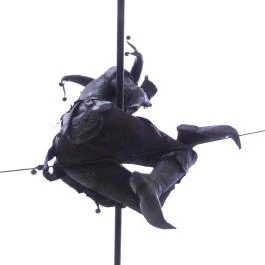 Mujkó szobor, Székesfehérvár - Egyéb