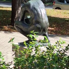 Múltunk Tapolca - Egyéb