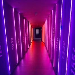 Munkácsy Mihály Múzeum Békéscsaba - Belső