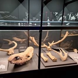 Munkácsy Mihály Múzeum Békéscsaba - Egyéb