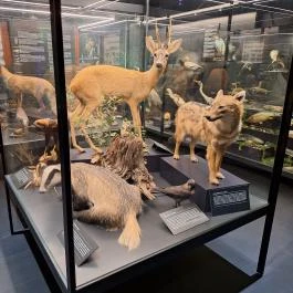 Munkácsy Mihály Múzeum Békéscsaba - Egyéb