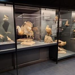 Munkácsy Mihály Múzeum Békéscsaba - Egyéb