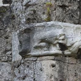 Műromok Tata - Egyéb